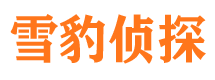 德宏侦探公司